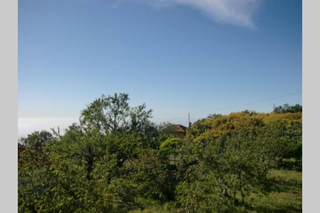 Casas Corea Puntagorda  Exterior photo